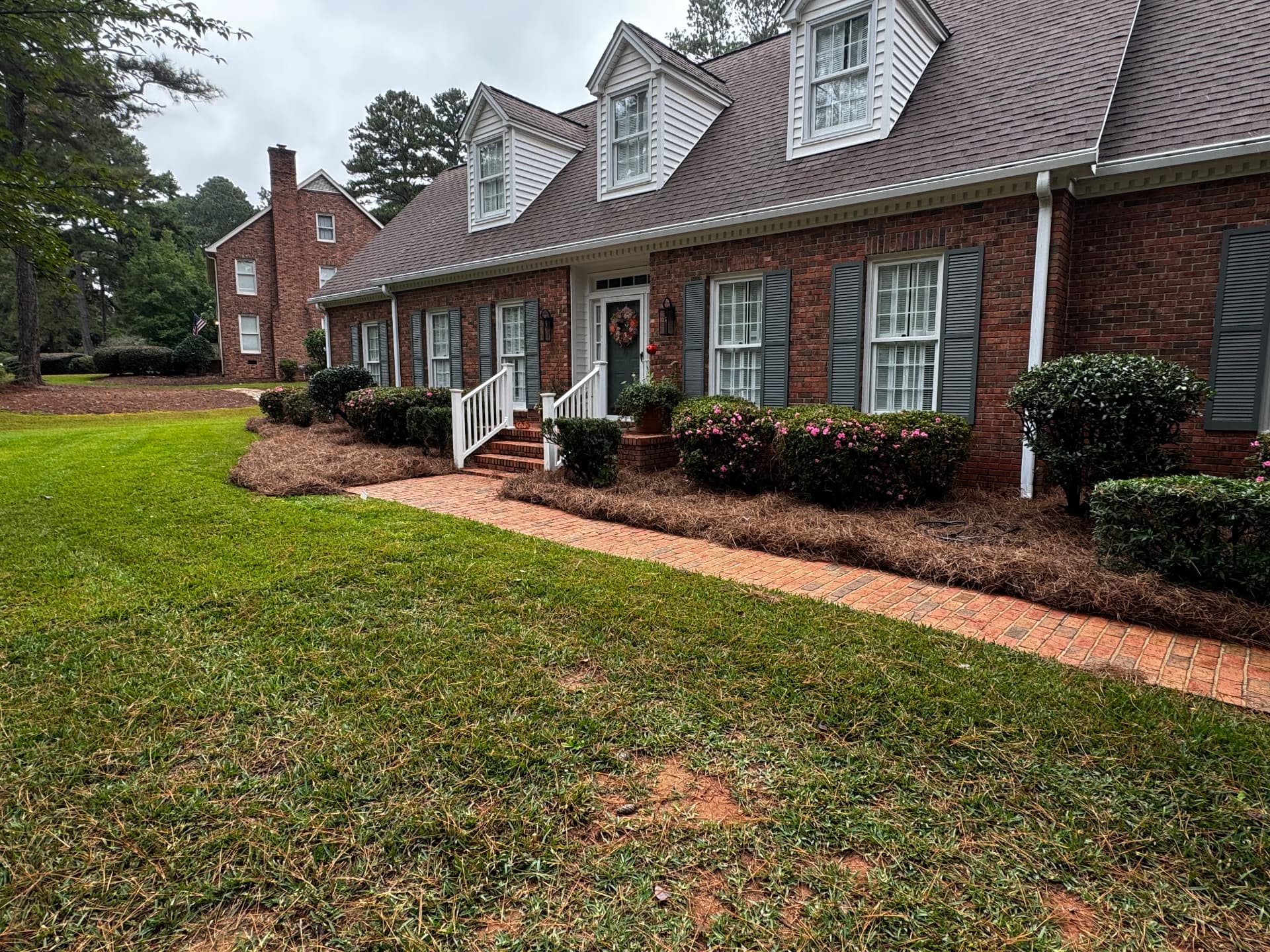 Pine straw beds and trimmed shrubs along a brick walkway.